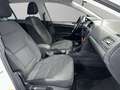 Volkswagen Golf Variant Golf Variant 1.2 TSI BlueMotion DSG AHK Blanc - thumbnail 13