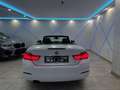 BMW 420 d Cabrio Aut.*HARMAN-KARDON*LED*NAVI* Weiß - thumbnail 7