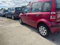 Fiat Panda Panda 1.3 MJT 16V DPF Emotion neopatentati Rojo - thumbnail 3