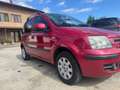 Fiat Panda Panda 1.3 MJT 16V DPF Emotion neopatentati Rojo - thumbnail 2