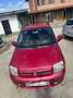 Fiat Panda Panda 1.3 MJT 16V DPF Emotion neopatentati Rojo - thumbnail 13