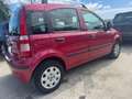 Fiat Panda Panda 1.3 MJT 16V DPF Emotion neopatentati Rojo - thumbnail 4