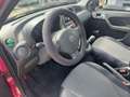 Fiat Panda Panda 1.3 MJT 16V DPF Emotion neopatentati Rojo - thumbnail 10