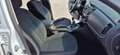 Kia Sportage 1.6 GDI Cool Neopatentati Bianco - thumbnail 15