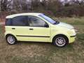 Fiat Panda 1.2 8V Dynamic mit LPG - Gasanlage Navi Alu Grün - thumbnail 6