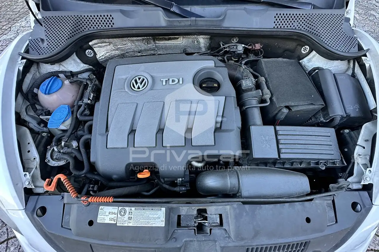 Volkswagen Maggiolino
