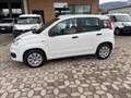 Fiat Panda 1.2 BENZ 69 CV S&S Wit - thumbnail 1