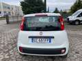 Fiat Panda 1.2 BENZ 69 CV S&S Wit - thumbnail 4