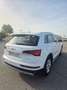 Audi Q5 35 TDI Advanced S tronic Blanco - thumbnail 3