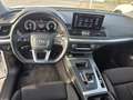 Audi Q5 35 TDI Advanced S tronic Blanco - thumbnail 17