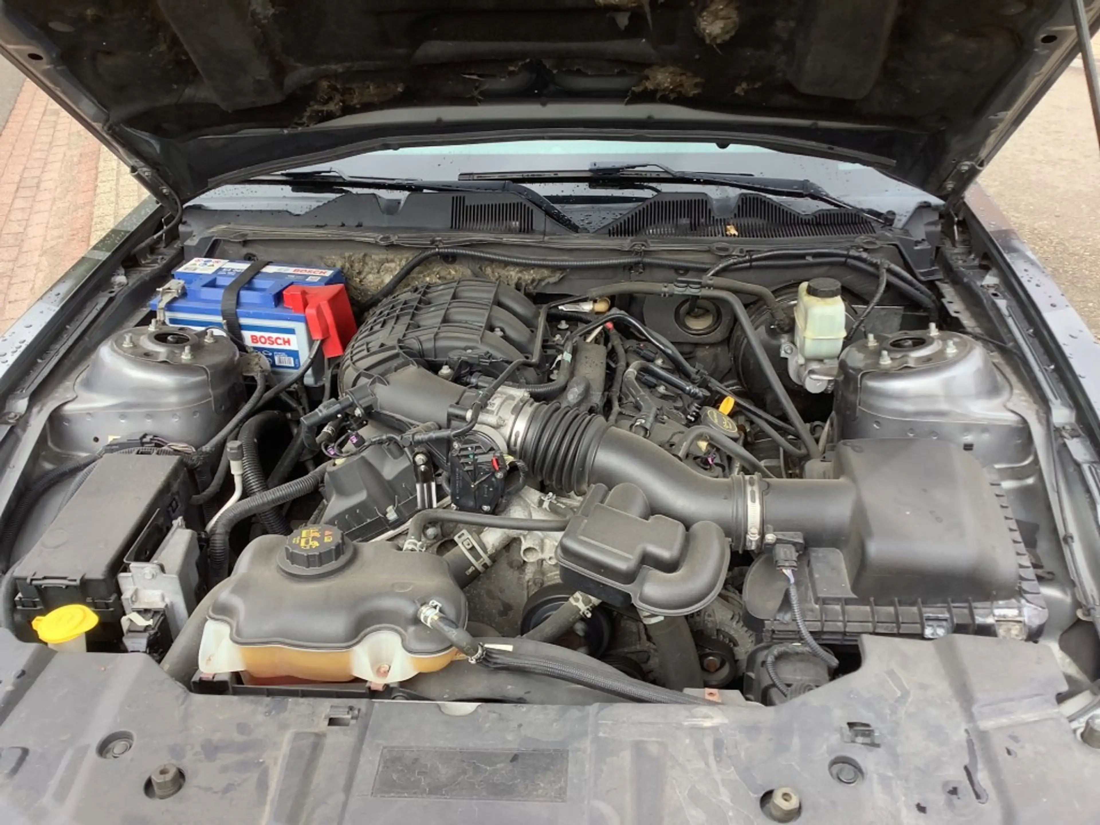 Ford Mustang 3.7 V6 fastback — photo 15