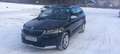 Skoda Karoq Karoq 2,0 TDI SCR 4x4 Scout Scout Schwarz - thumbnail 7
