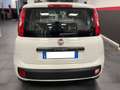 Fiat Panda Panda 1.2 Pop Bianco - thumbnail 3