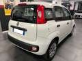 Fiat Panda Panda 1.2 Pop Weiß - thumbnail 2