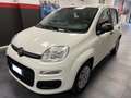 Fiat Panda Panda 1.2 Pop Weiß - thumbnail 5