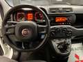 Fiat Panda Panda 1.2 Pop Bianco - thumbnail 12