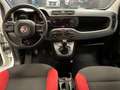 Fiat Panda Panda 1.2 Pop Weiß - thumbnail 11