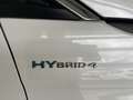 Peugeot 3008 Hybrid4 300 PHEV e-EAT8 GT Aut. Weiß - thumbnail 4