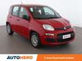Fiat Panda 1.2 Easy Roşu - thumbnail 8