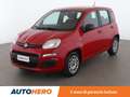 Fiat Panda 1.2 Easy Roşu - thumbnail 1