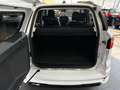 Ford EcoSport ST-Line #NAVI #KAMERA #WINTERPAKET Blanc - thumbnail 11