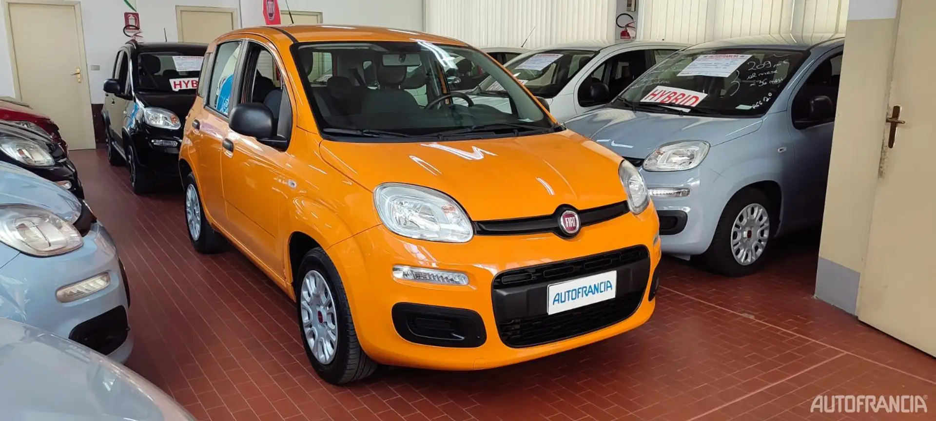 Fiat PANDA - 1.2 69CV EASY Arancione - 2