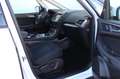 Ford Galaxy Edition 2.5 FHEV 190PS Automatik 7-Sitze Weiß - thumbnail 11