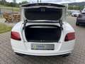 Bentley Continental Speed Weiß - thumbnail 20