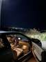 BMW 330 330i Coupe Aut. - thumbnail 3