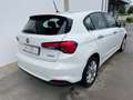 Fiat Tipo SW 1.6 mjt Easy Business s Bianco - thumbnail 7