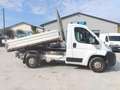 Fiat DUCATO  2.3 MJT 120 CV Bianco - thumbnail 2