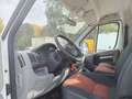 Fiat DUCATO  2.3 MJT 120 CV Bianco - thumbnail 9