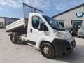Fiat DUCATO  2.3 MJT 120 CV Bianco - thumbnail 1