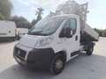 Fiat DUCATO  2.3 MJT 120 CV Bianco - thumbnail 7