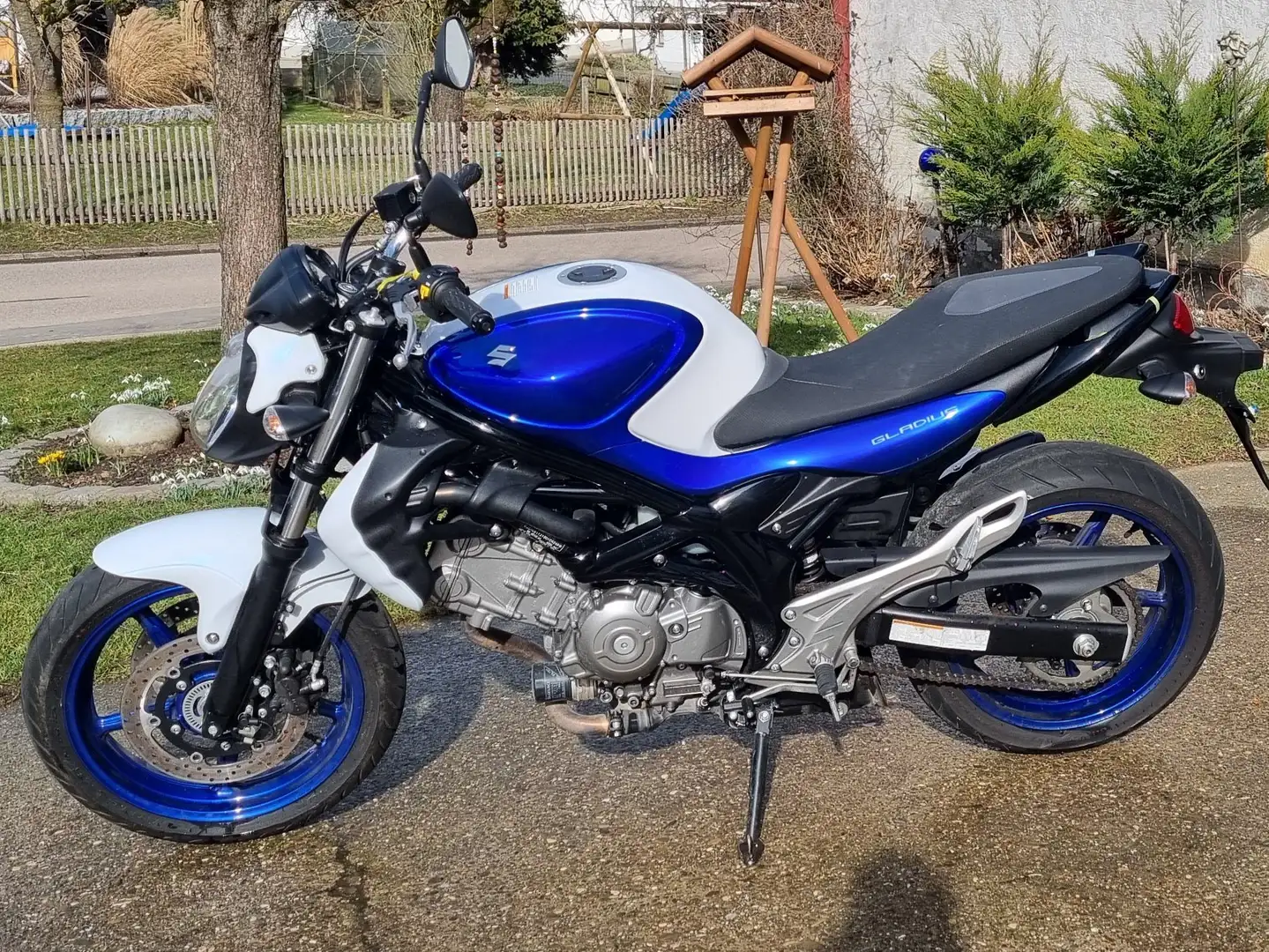 Suzuki Gladius 650 Blue - 1