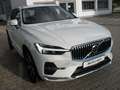 Volvo XC60 T6  Inscription Expression Weiß - thumbnail 3