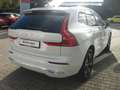 Volvo XC60 T6  Inscription Expression Weiß - thumbnail 6