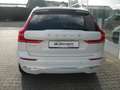 Volvo XC60 T6  Inscription Expression Weiß - thumbnail 5