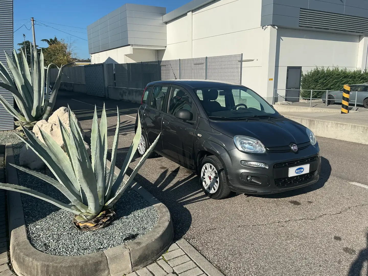 Fiat Panda 1.2 Pop 69cv Grau - 2