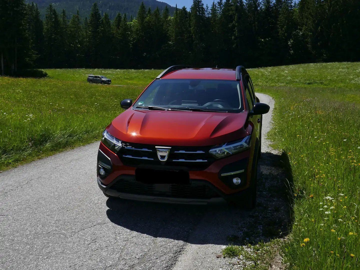 Dacia Jogger Jogger Extreme TCe 110 Extreme Braun - 1