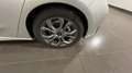 Ford Focus Focus 1.0t ecoboost h ST-Line 125cv Argento - thumbnail 7