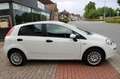 Fiat Punto Pop|Klimaanlage|CD-Spieler| Weiß - thumbnail 5