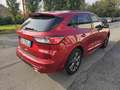 Ford Kuga 1.5 EcoBoost 150 CV 2WD ST-Line X Rosso - thumbnail 5