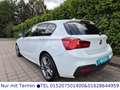 BMW 118 Baureihe 118d xDrive Edition M Sport*LEDER* Weiß - thumbnail 13