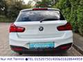 BMW 118 Baureihe 118d xDrive Edition M Sport*LEDER* Weiß - thumbnail 9