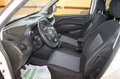 Fiat Doblo 5 POSTI  Combi N 1 Bianco - thumbnail 7