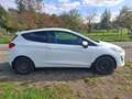 Ford Fiesta FIESTA VAN - Petit Utilitaire Blanc - thumbnail 3