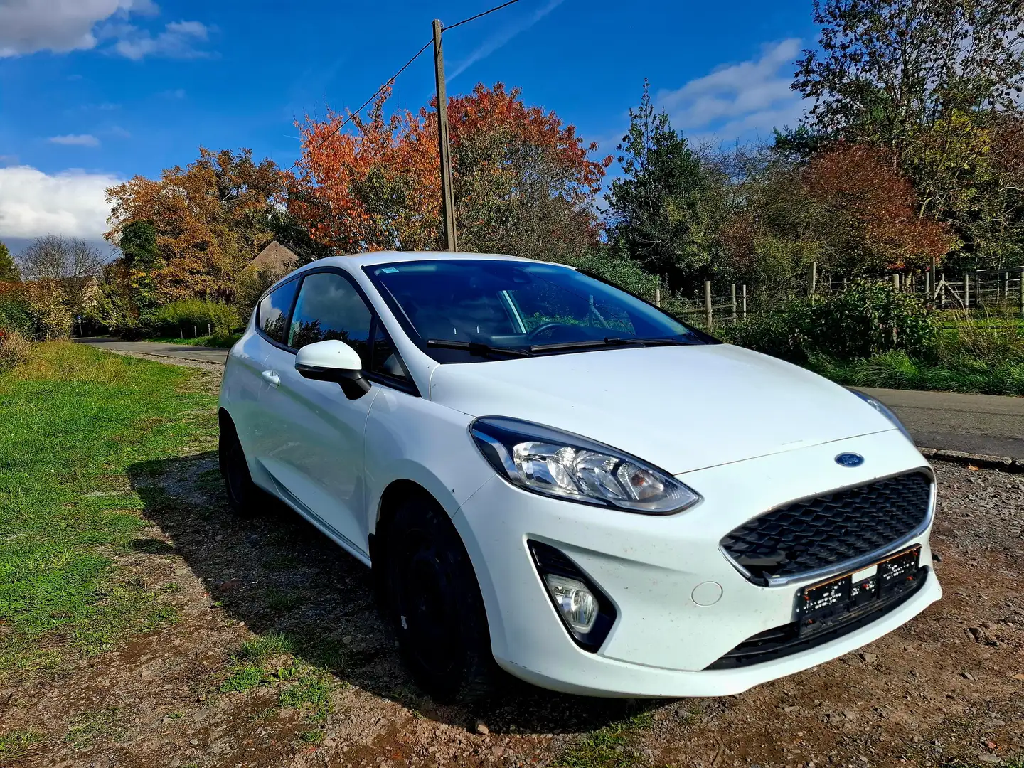 Ford Fiesta FIESTA VAN - Petit Utilitaire Blanc - 1