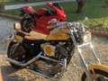 Harley-Davidson Sportster 883 - thumbnail 5
