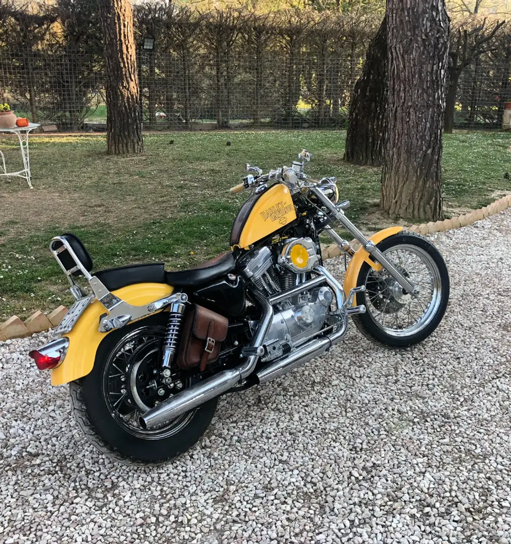 Harley-Davidson Sportster 883 - 2